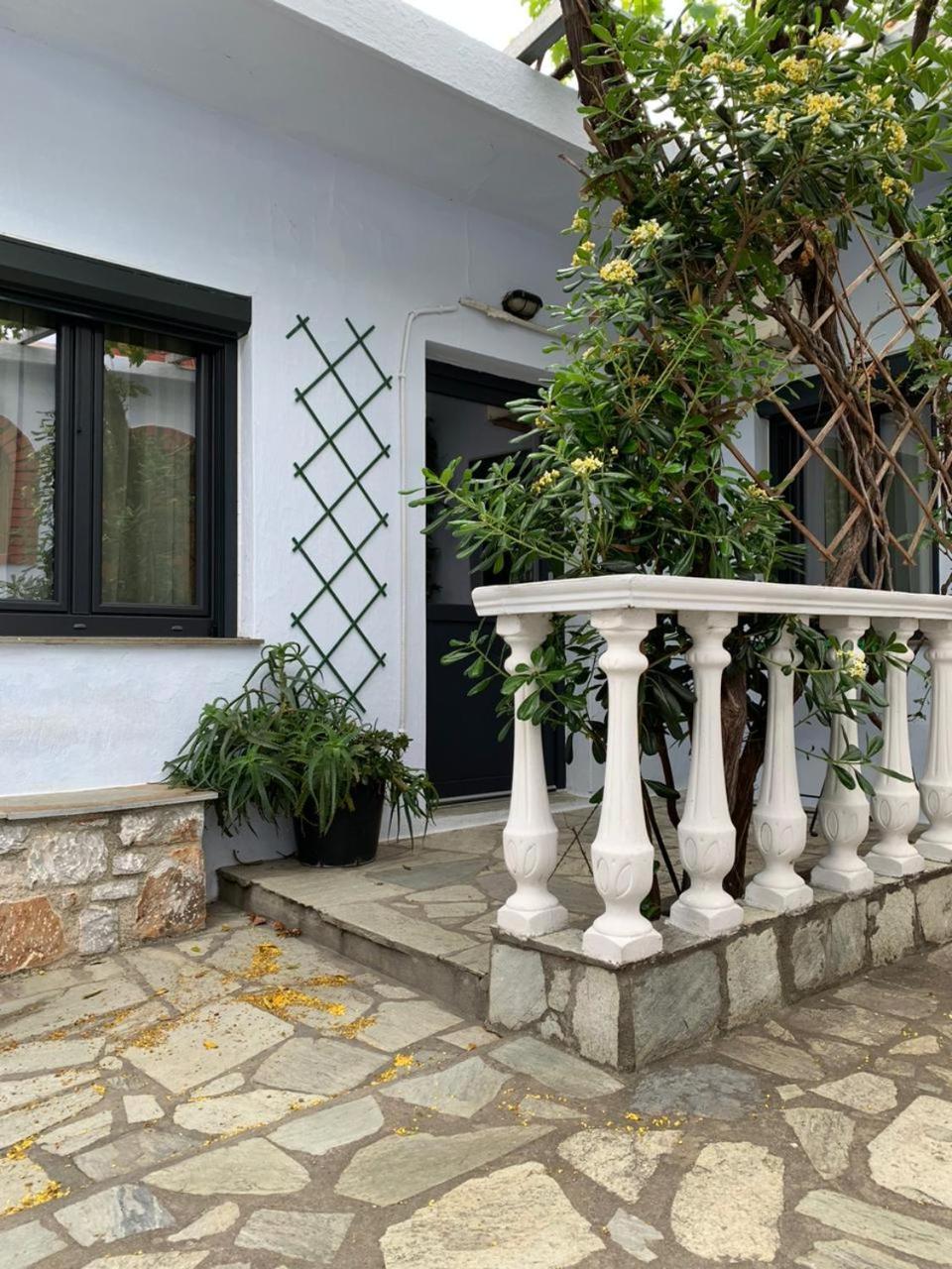 Kastro Studios Скопелос Номер фото